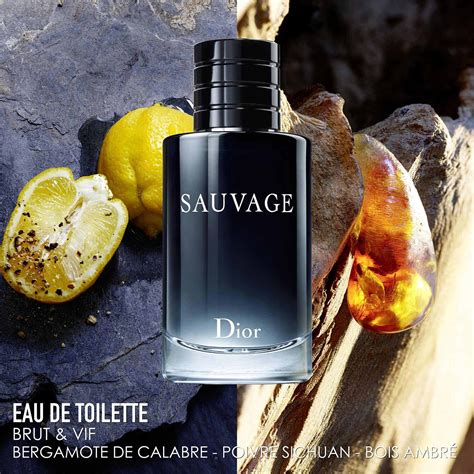 sauvage dior eau de toilette 60 ml|Dior Sauvage for men superdrug.